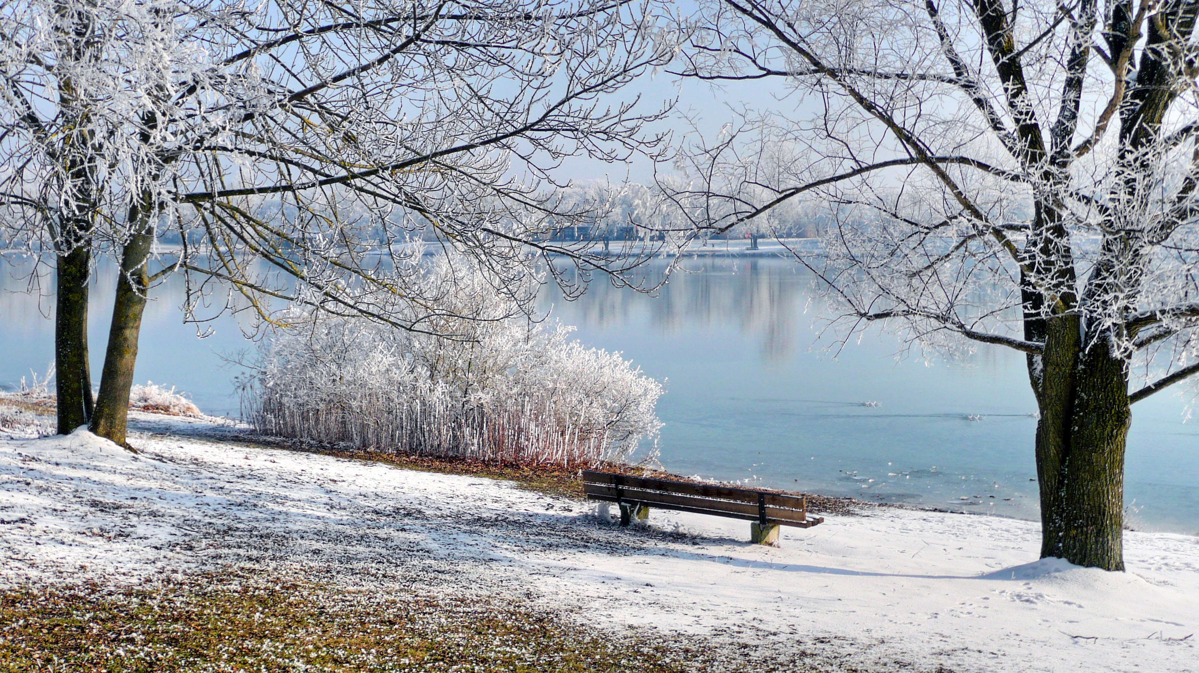 Karlsfelder See im Winter