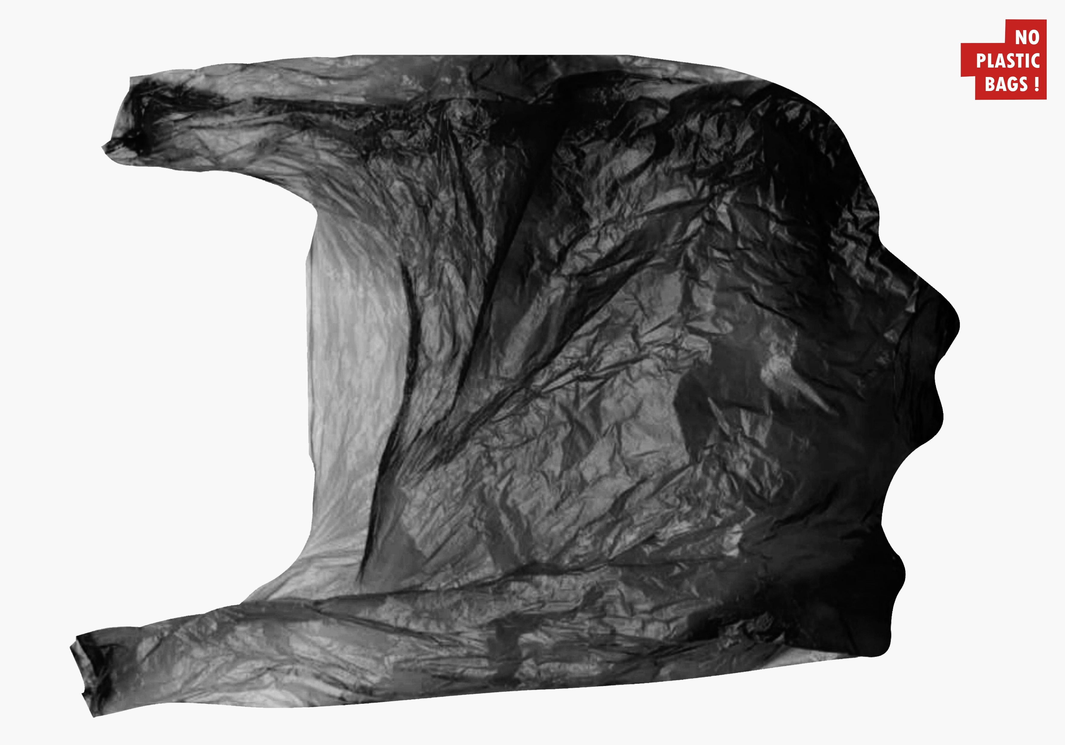 „No Plastic Bags!“, die Künstlerin: Marcelina Rydelek