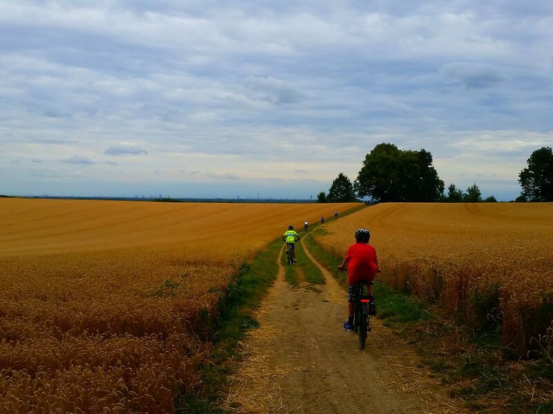 Altbaierischer Oxenweg